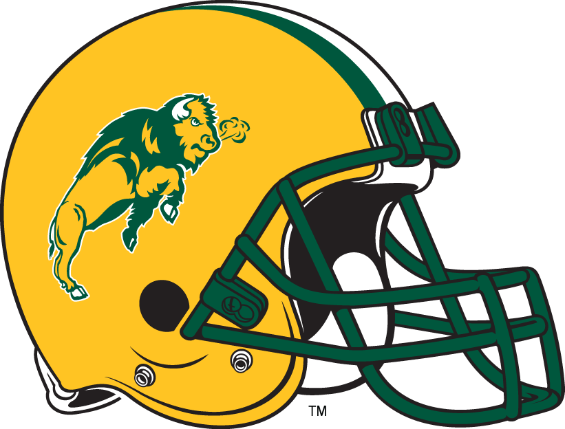 North Dakota State Bison 2012-Pres Alternate Logo v2 diy iron on heat transfer
